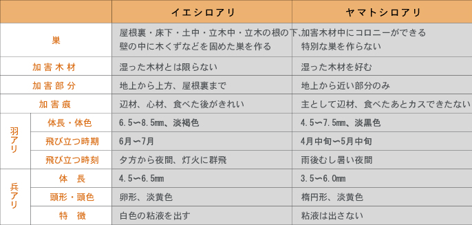 イエシロアリとヤマトシロアリの特徴