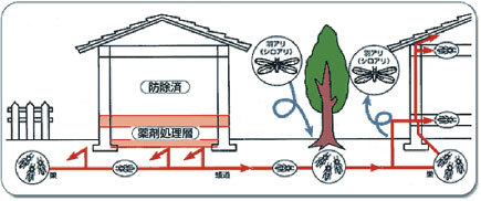 シロアリ予防
