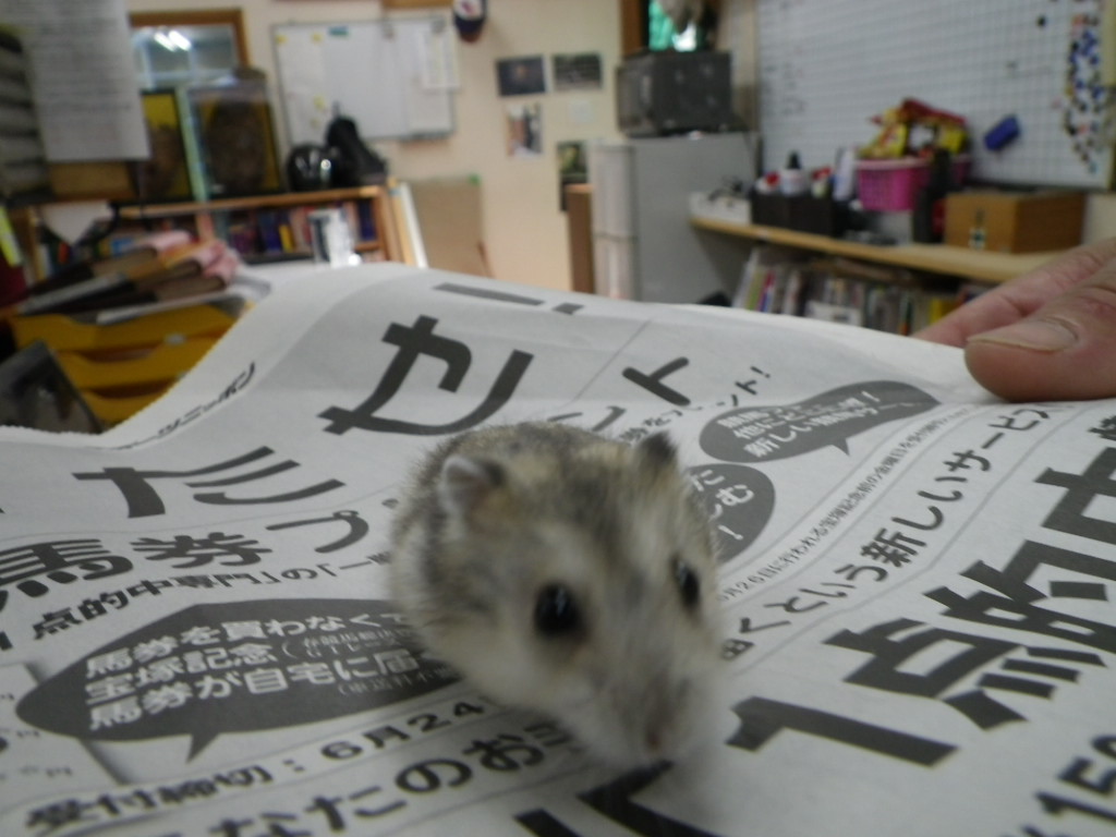 元気してますか！！？